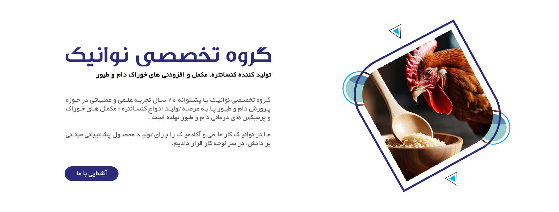 نوانیک، تولید کننده کنسانتره، مکمل و افزودنی های خوراک دام و طیور