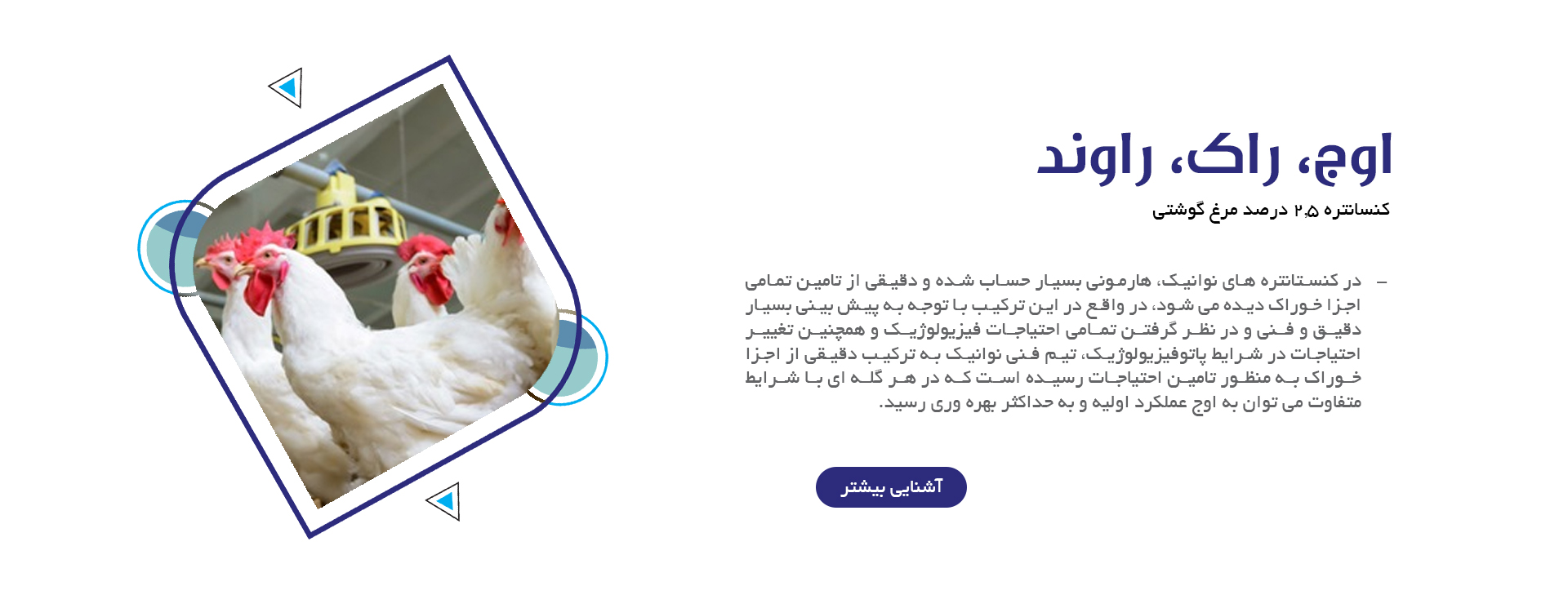 کنسانتره 2.5 درصد مرغ گوشتی کنسانتره اوج، کنسانتره راک، کنسانتره راوند